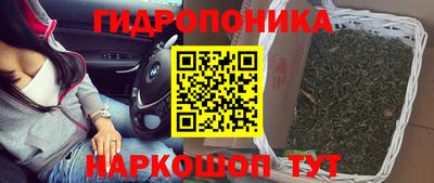 PSILOCYBIN Изобильный
