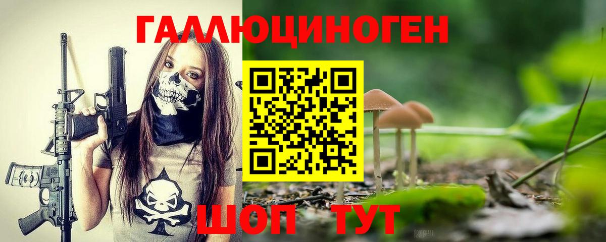 Дятьково  Псилоцибиновые грибы Cubensis  Вход с VPN 