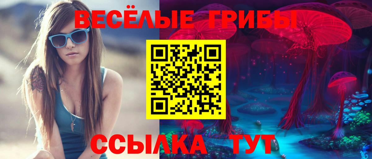 Галлюциногенные грибы Cubensis Дятьково